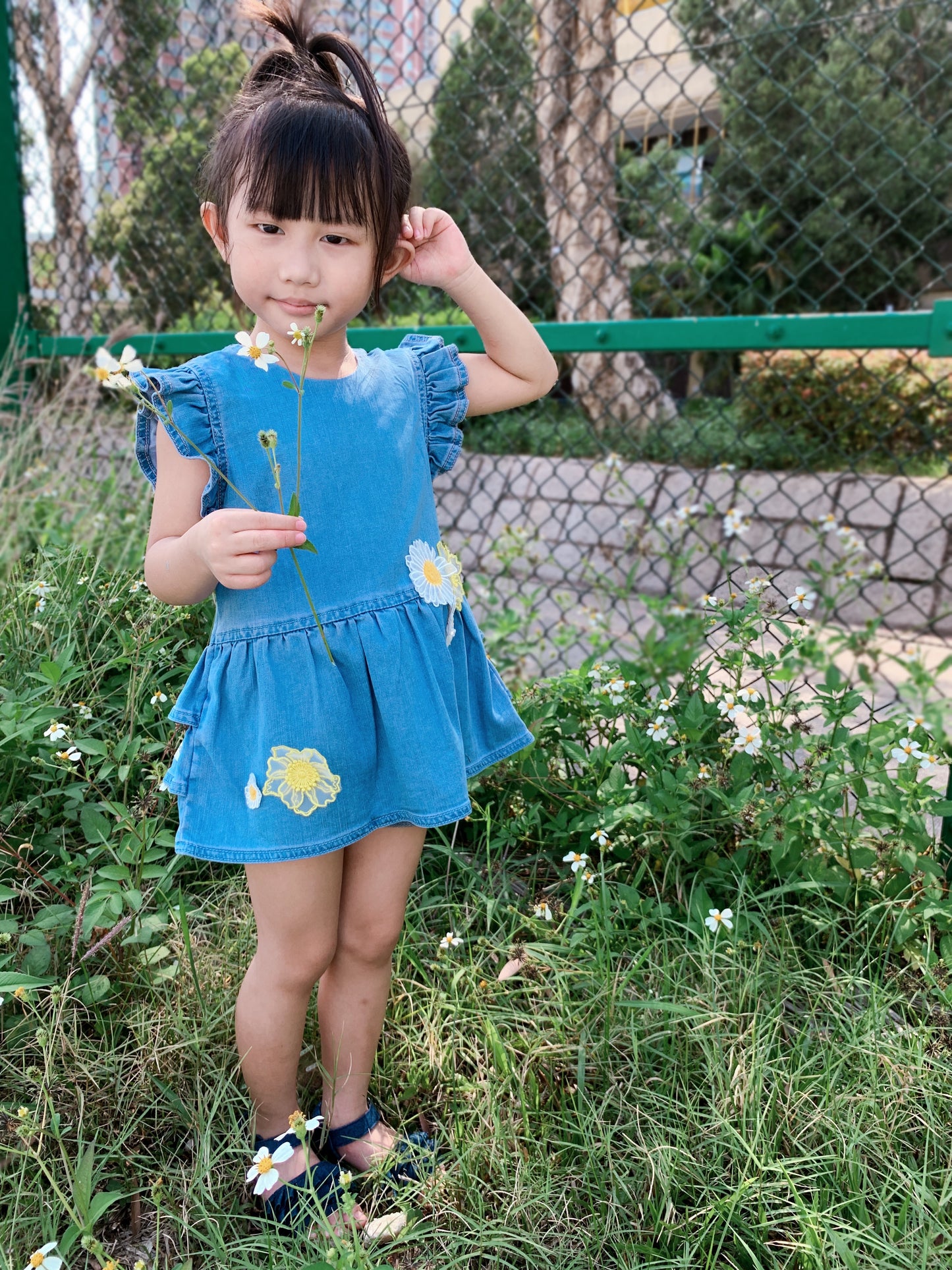 Ruffle Top Denim Dress