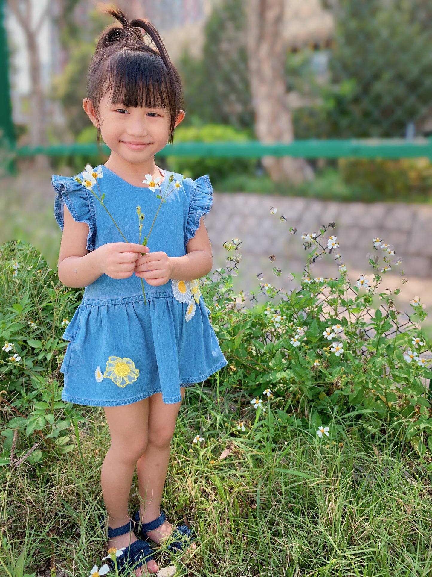 Ruffle Top Denim Dress