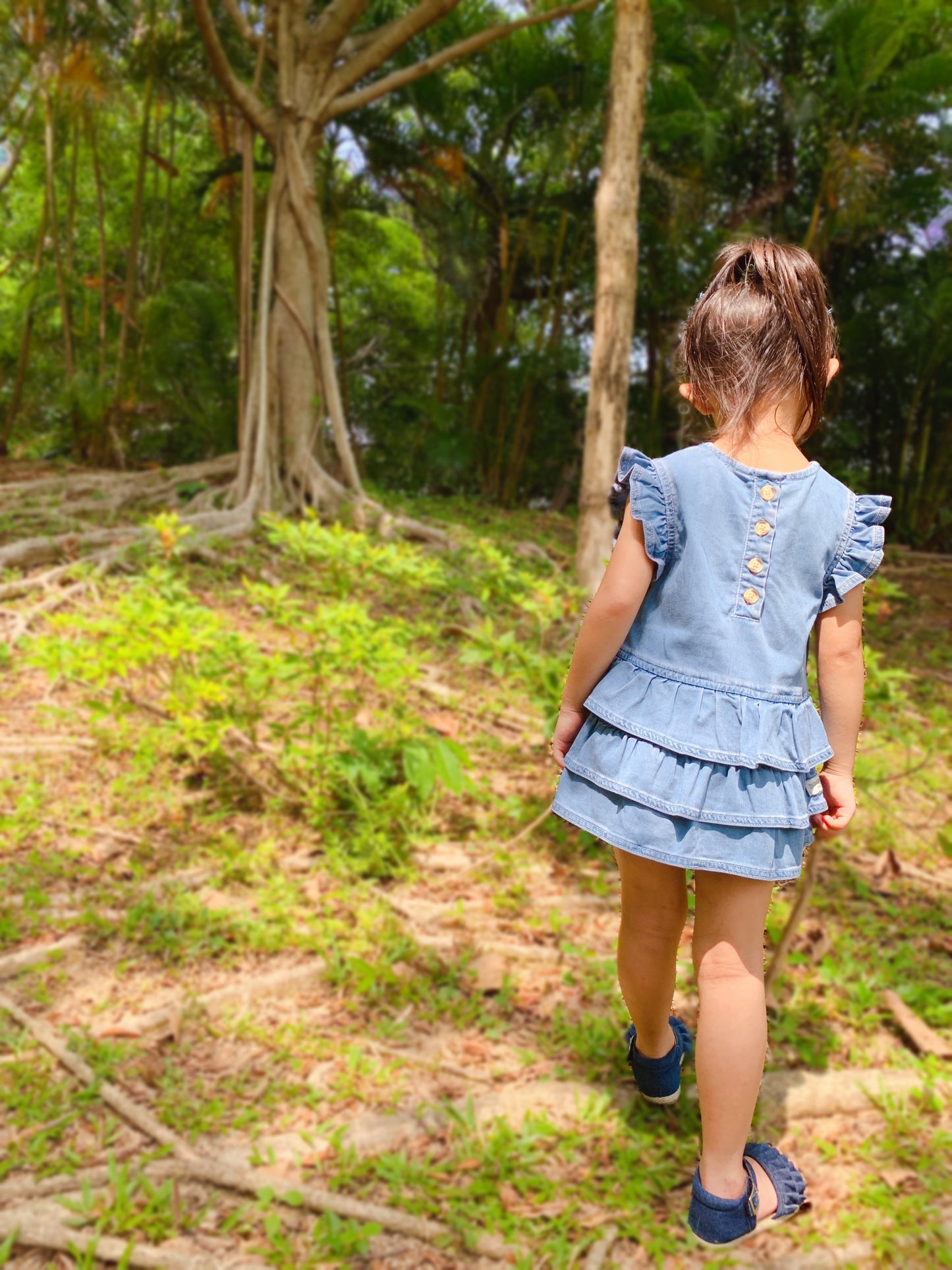 Ruffle Top Denim Dress