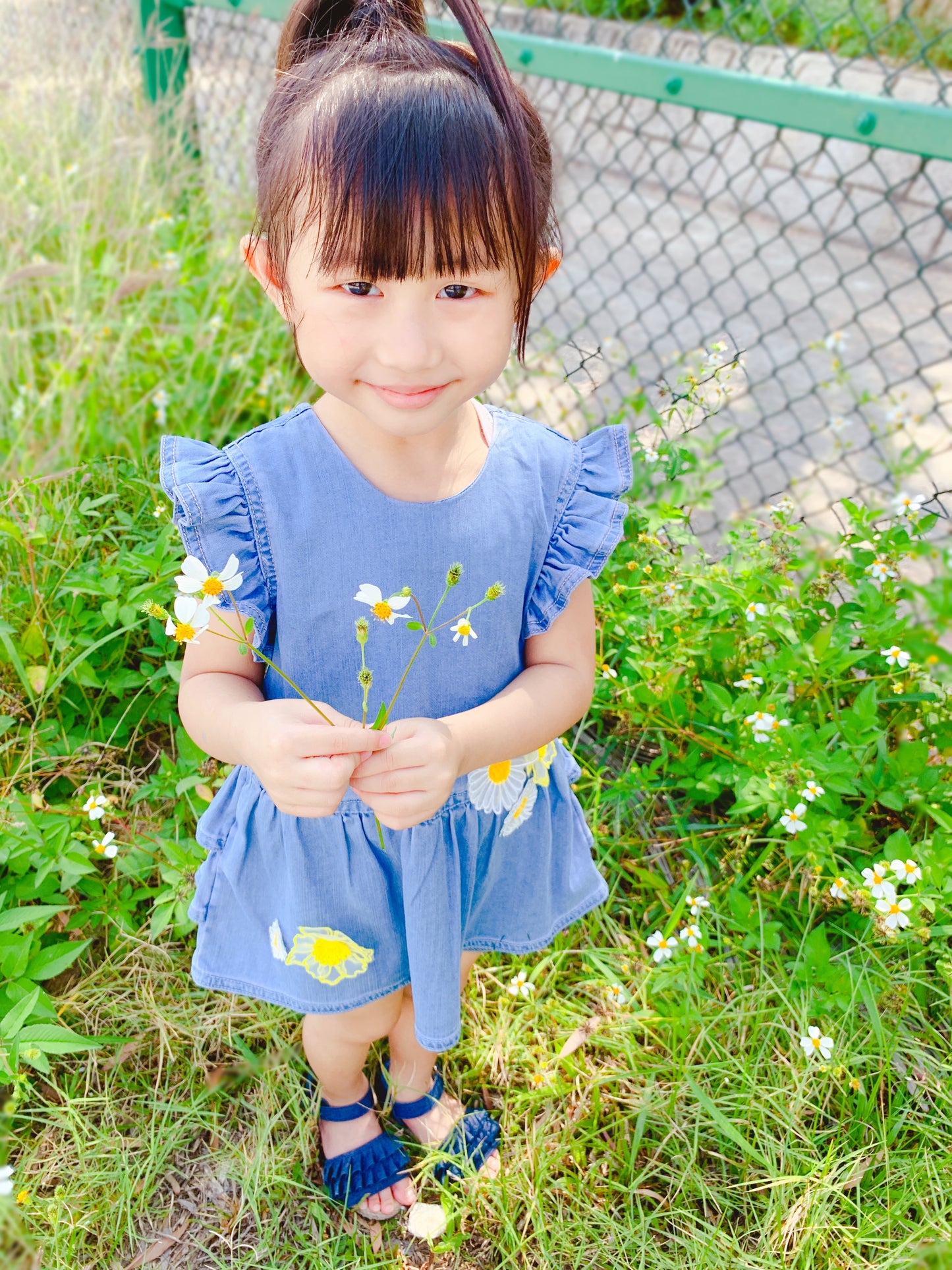 Ruffle Top Denim Dress