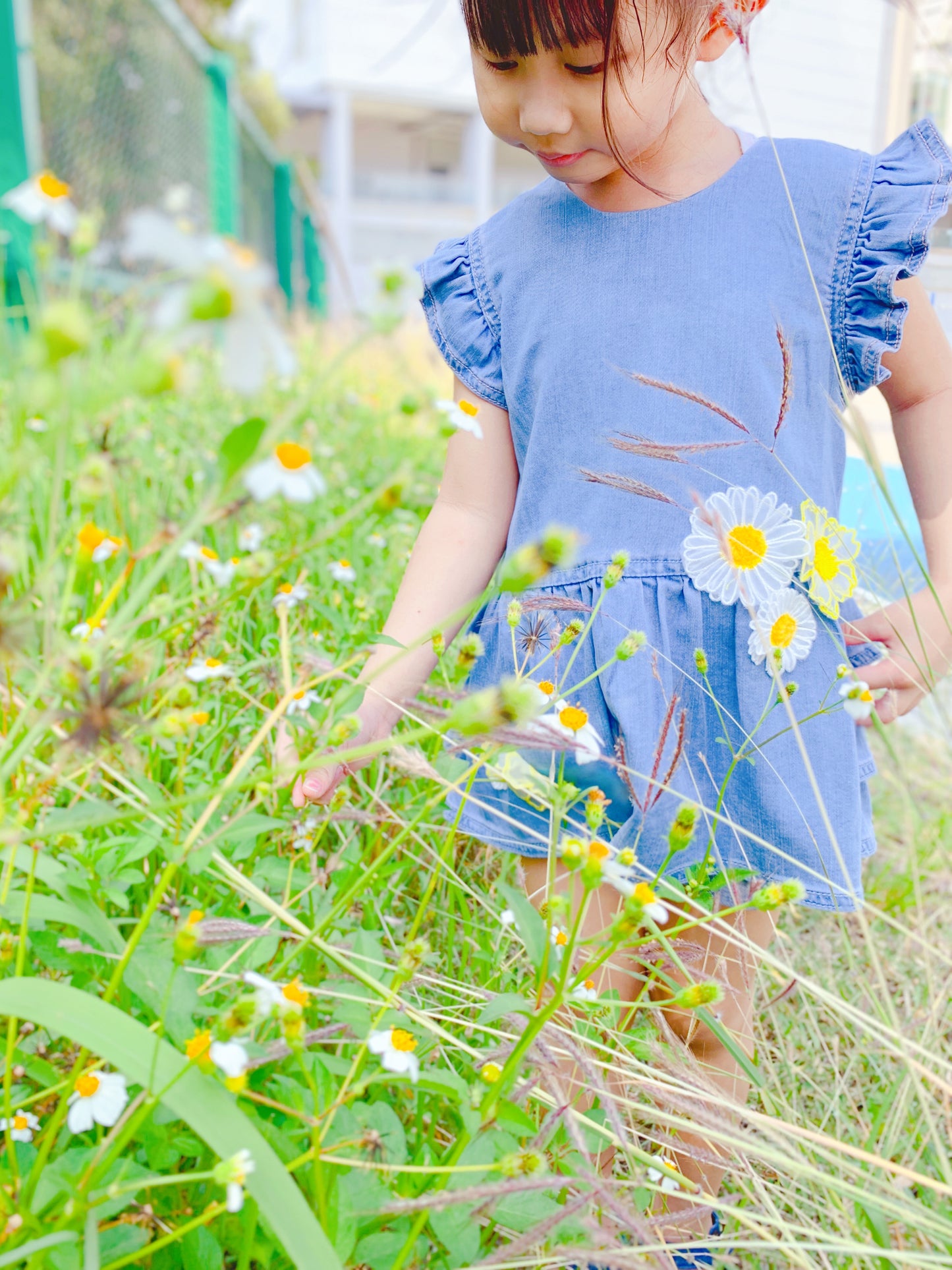 Ruffle Top Denim Dress